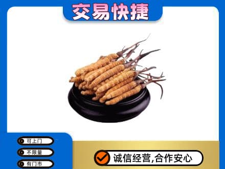 巴音郭楞州和硕县高价回收冬虫夏草多少钱每克